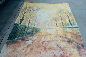 lot 337A image: 10 x 16 Light Weight Muslin Photography Background -  Fall Scene