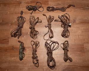 lot 169A image: Set of 10 Brown Extension Cords