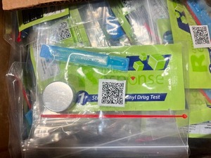 lot 123 image: Rapid Response Fentanyl Test Strip