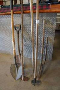 lot 387 image: Assorted Garden Tools - Shovels, Hoes, Weeder