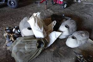 lot 560 image: Goose Decoys