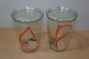 lot 16 image: 2 Weck 34L Mold Canning Jars