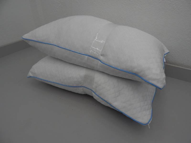 lot 139 image: Pair Queen Standard Memory Foam Pillows