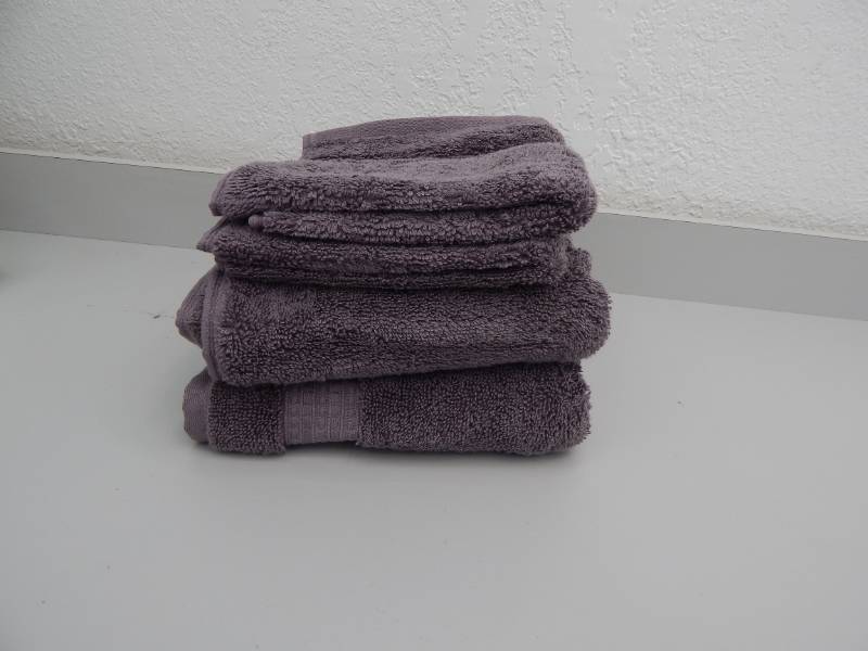 lot 47 image: 4-Piece Hand Towel set
