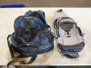 lot 41 image: 2 Backpacks