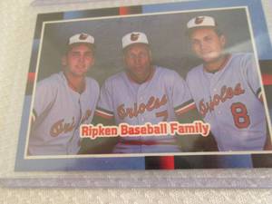 lot 94 image: 1987 Leaf Cal Ripken Baseball Famil...