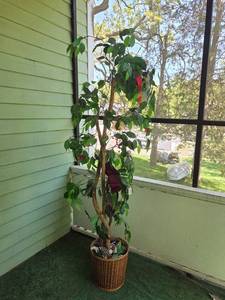 lot 56 image: Indoor Decorative Tall Faux Tree in Woven Basket