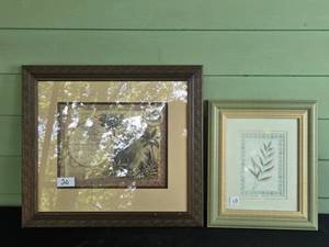 lot 132 image: Set of 2 Framed Art Pieces with Botanical and Nature Themes