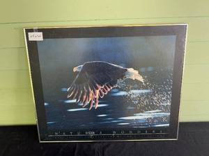 lot 195 image: 24 x 30 Natures Wonders Bald Eagle Poster by Pat Leeson