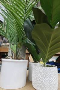 WHITE POTTED ARTIFICAL PLANTS
