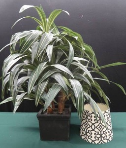 lot 34 image: DECOR
