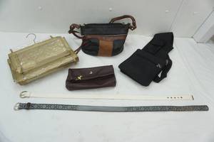 lot 211 image: Womens Purses, Belts, and Vintage Shoe Organizer