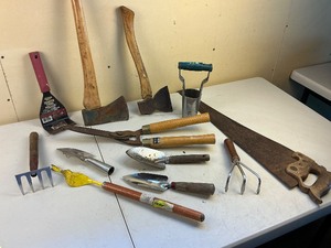 lot 162 image: Misc. Garden Tools and Axe Lot