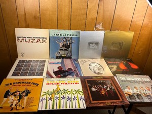 lot 228 image: Vinyl Record Album Lot