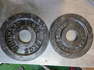 lot 61 image: A Pair of 5 LB 2-inch weight Plates (Used)