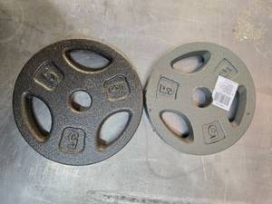 lot 72 image: A Pair of 5 LB  2- inch weight Plates (Used)