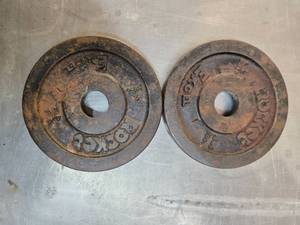 lot 73 image: A Pair of 5 LB  One- inch weight Plates (Used)