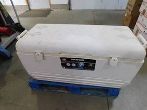 lot 29 image: Igloo Maxcold 75 gallon cooler