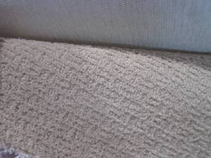 lot 25 image: (HG) Petstrand Carpet Remnant 12 Ft...