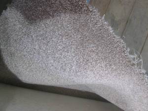 lot 39 image: (HG) Carpet Remnant 12 Ft x 6 Ft 4 ...