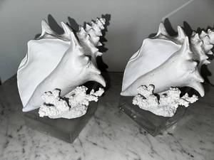 lot 49 image: Pair of White Conch Shell Statues on Clear Stands