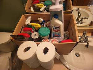 lot 353 image: Assorted Household Cleaning Supplies with Toilet Paper Rolls