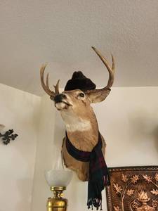 lot 500 image: Pair of Taxidermy Deer Mounts with Decorative Hats and Scarves