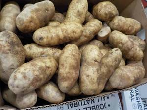 lot 170 image: 50 lb. box Kitchen Kleen Russet Pot...