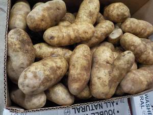 lot 171 image: 50 lb. box Kitchen Kleen Russet Pot...
