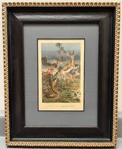 lot 97N image: Framed Chromolithograph African Cobra Or Haje and Gazelles by John George Wood