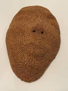 lot 151 image: K - Coral Face III Signed Ceramic Wall Sculpture, 5 Inch