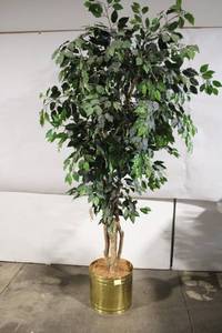 lot 66 image: Artificial Ficus Tree with Decorative Brass Planter