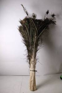 lot 172 image: Bundle of Natural Peacock Feathers for Crafting and Decoration