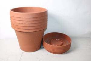 lot 250 image: Set of 6 Terracotta Flower Pots with Saucers