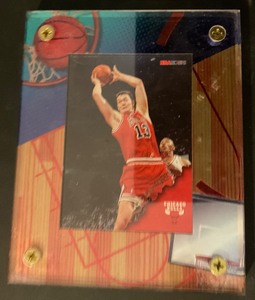 lot 10-25 image: Luc Longley encased trading card.
