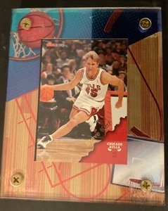 lot 10-14 image: Steve Kerr encased trading card