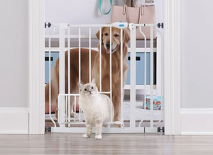 lot 133 image: Carlson Extra Wide Walk-Through Pet Gate with Small Pet Door, Fits Openings Wide