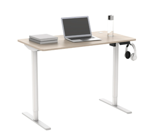 lot 691 image: Mainstays Electric Standing Desk