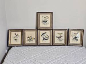 lot 79 image: Delightful Avian Decor Print Collection - (6)