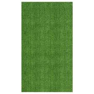 lot 61 image: Evergreen Collection 8 ft. x 10 ft. IndoorOutdoor Green Low Pile Artificial Grass Runner Rug, 7 ft. 10 in.x 9 ft.10 in.