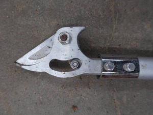 lot 20 image: STIHL EXTENXDED REACH PRECISION PRUNER