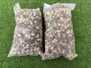 lot 30 image: 600 18 Acorn Nuts