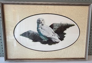 lot 166 image: 1977 Signed H. R. Kessler Artwork of Snowy Owl