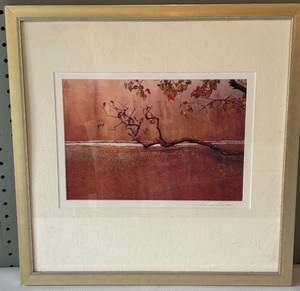 lot 168 image: Framed Photograph by Patricia Stanton - Capturing Natures Portrait