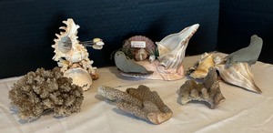 lot 227 image: Shell and Coral Decor