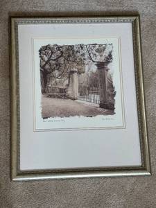 lot 600 image: Framed Alan Blaustein Photograph Boboli Gardens, Florence, Italy