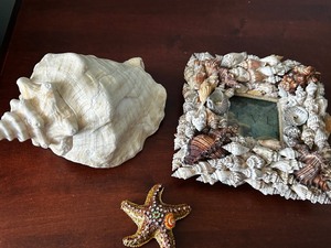 lot 86 image: Shell Framed Art Titled Child Jesus of the Sea with Decorative Seashell and Starfish Collection