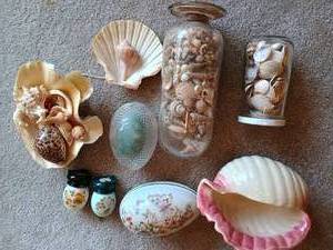 lot 73 image: Seashell Lot