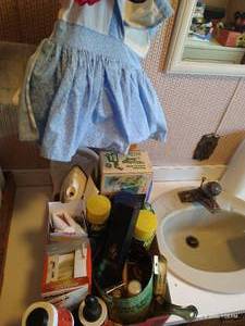 lot 147 image: Flat of Laundry Care Products & Clothespin Bag, Hand Steamer, Etc