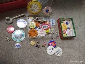 lot 338 image: Miscellaneous Pins - Political & Larimore Themed